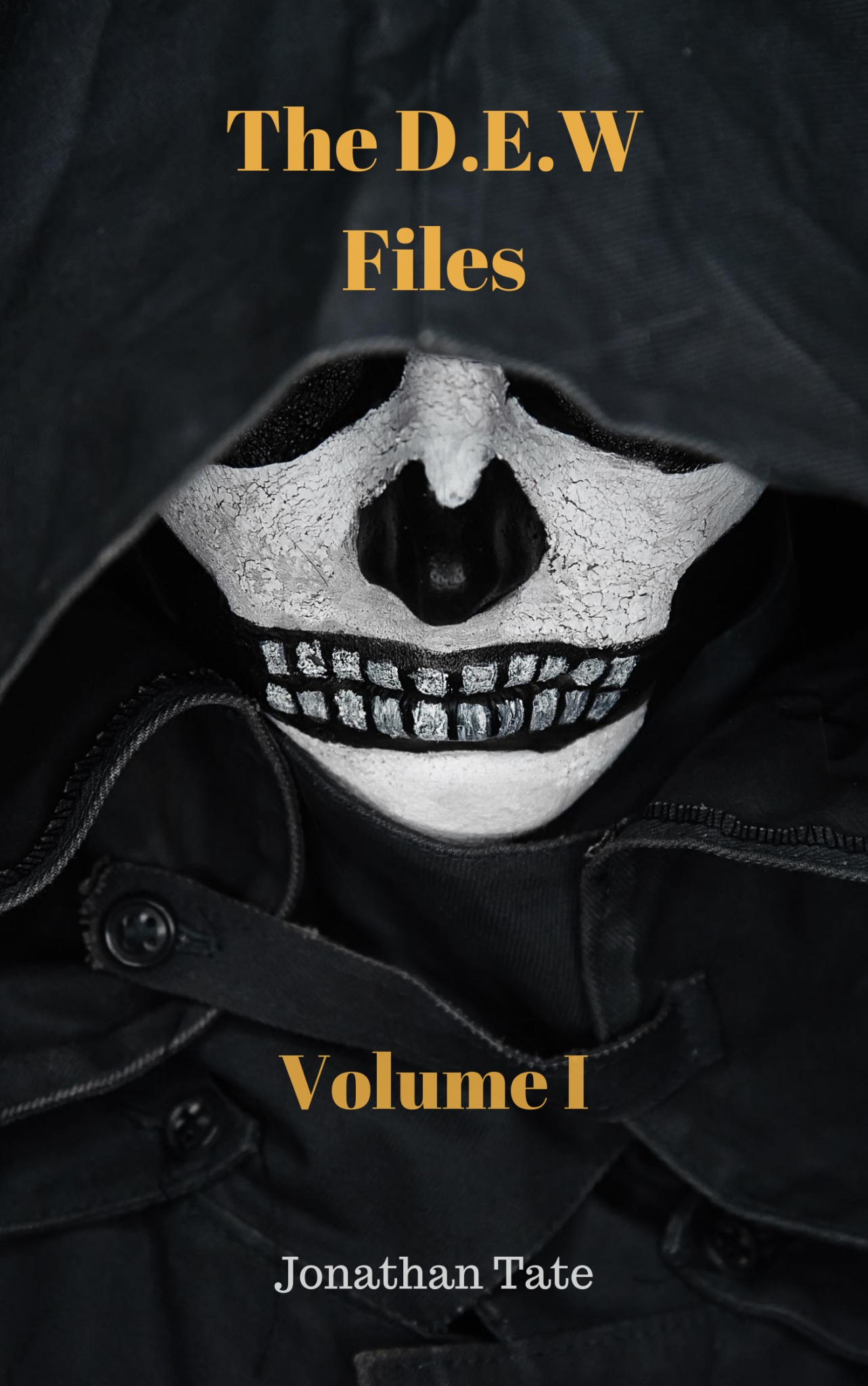 The D.E.W Files Volume 1 Book Reader Magazine